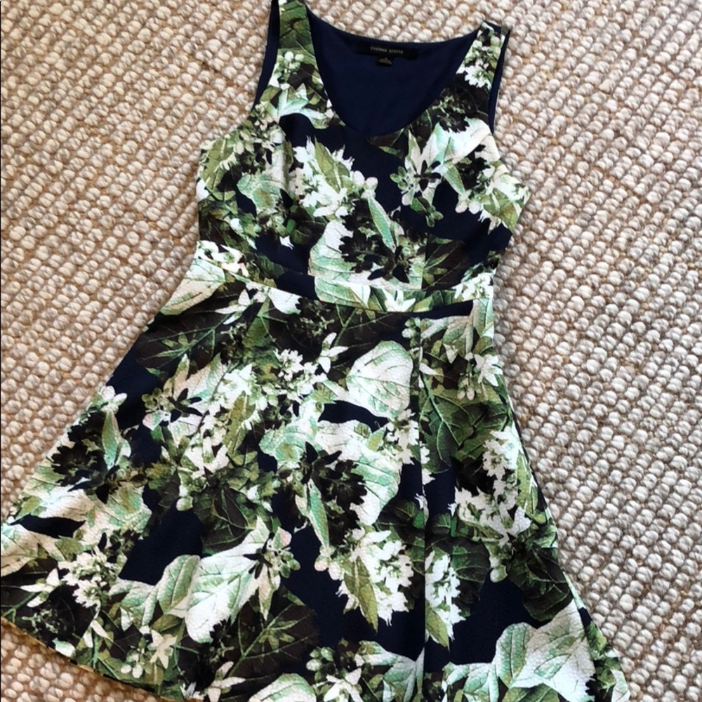 Cynthia Steffe Floral Fit & Flare